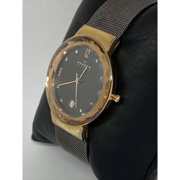 Skagen SKW2120 Women\'s Stainless Steel Mesh Analog Black Dial Quartz Watch JK787 main image 5